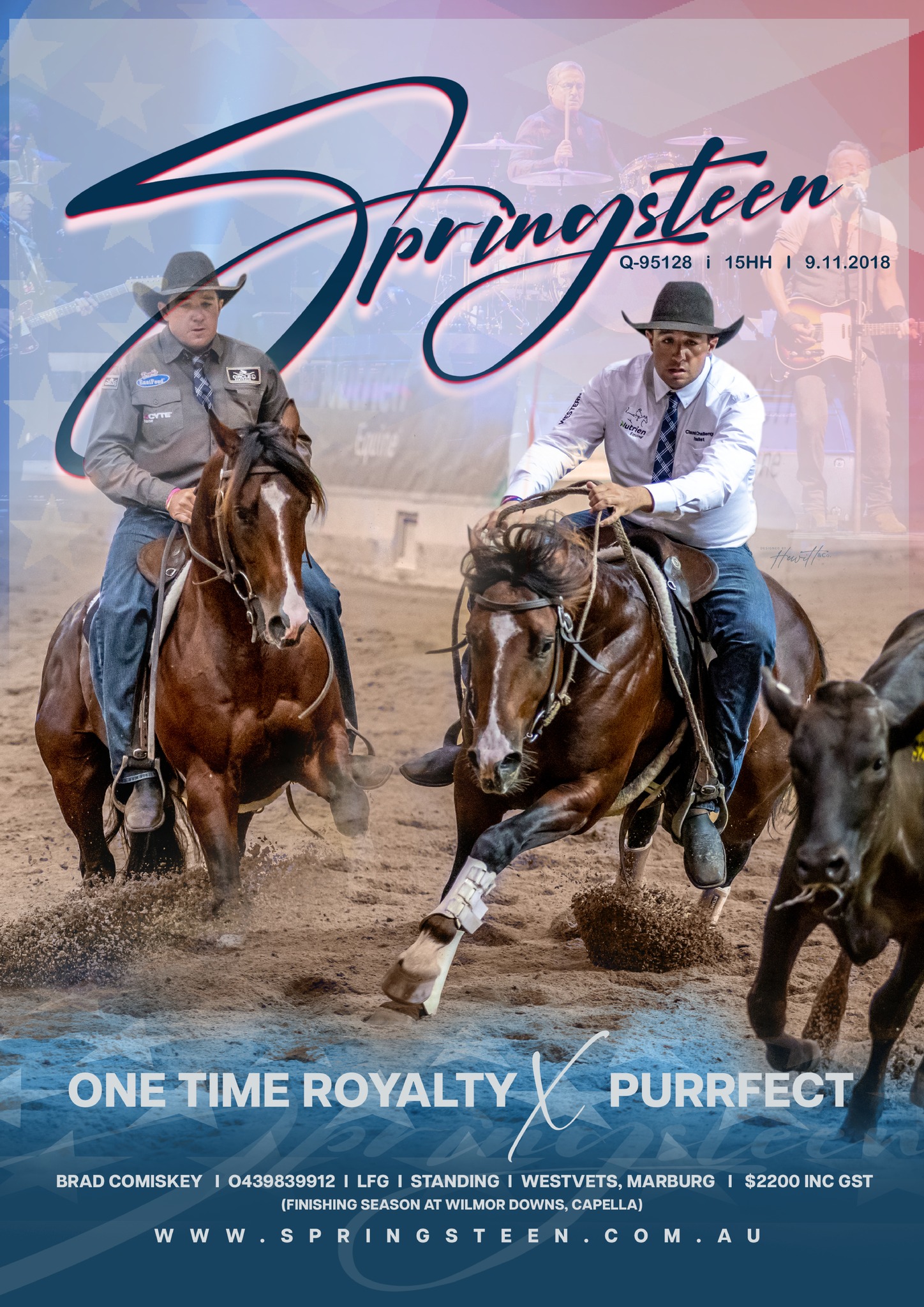 Stallion Collection Services Stallions at stud - Wilmor Downs Equine Breeding Services